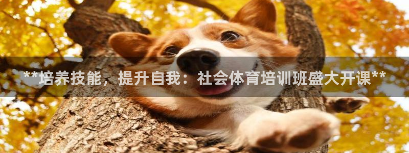 焦点娱乐app下载安装方式是什么：**培养技能，提升