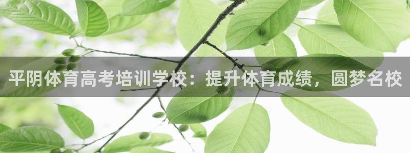 焦点娱乐官网下载安装手机版最新：平阴体育高考培训学校